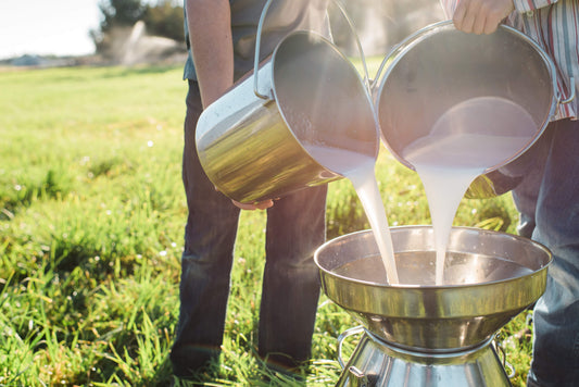 Milking the Debate: Raw vs. Powdered Goat Milk