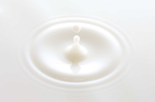 goat milk drop falling onto a bowl filled with goat milk