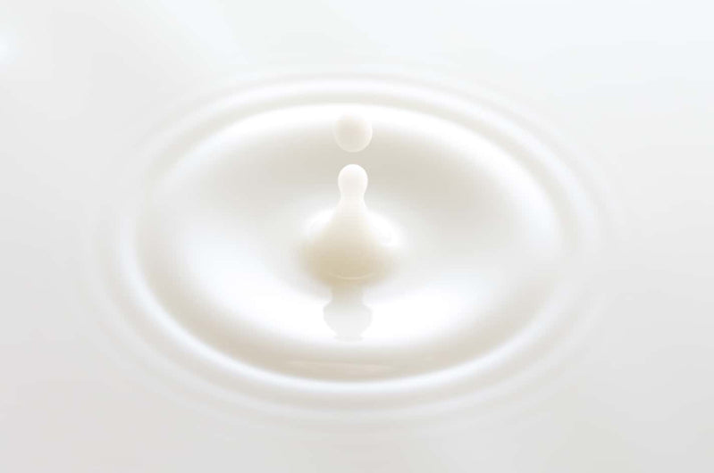 goat milk drop falling onto a bowl filled with goat milk