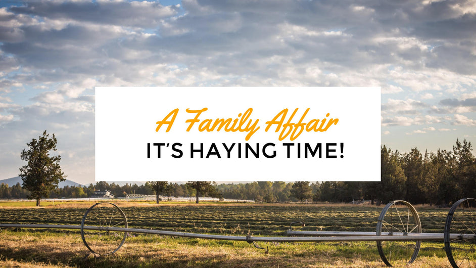A Family Affair: It's Haying Time!