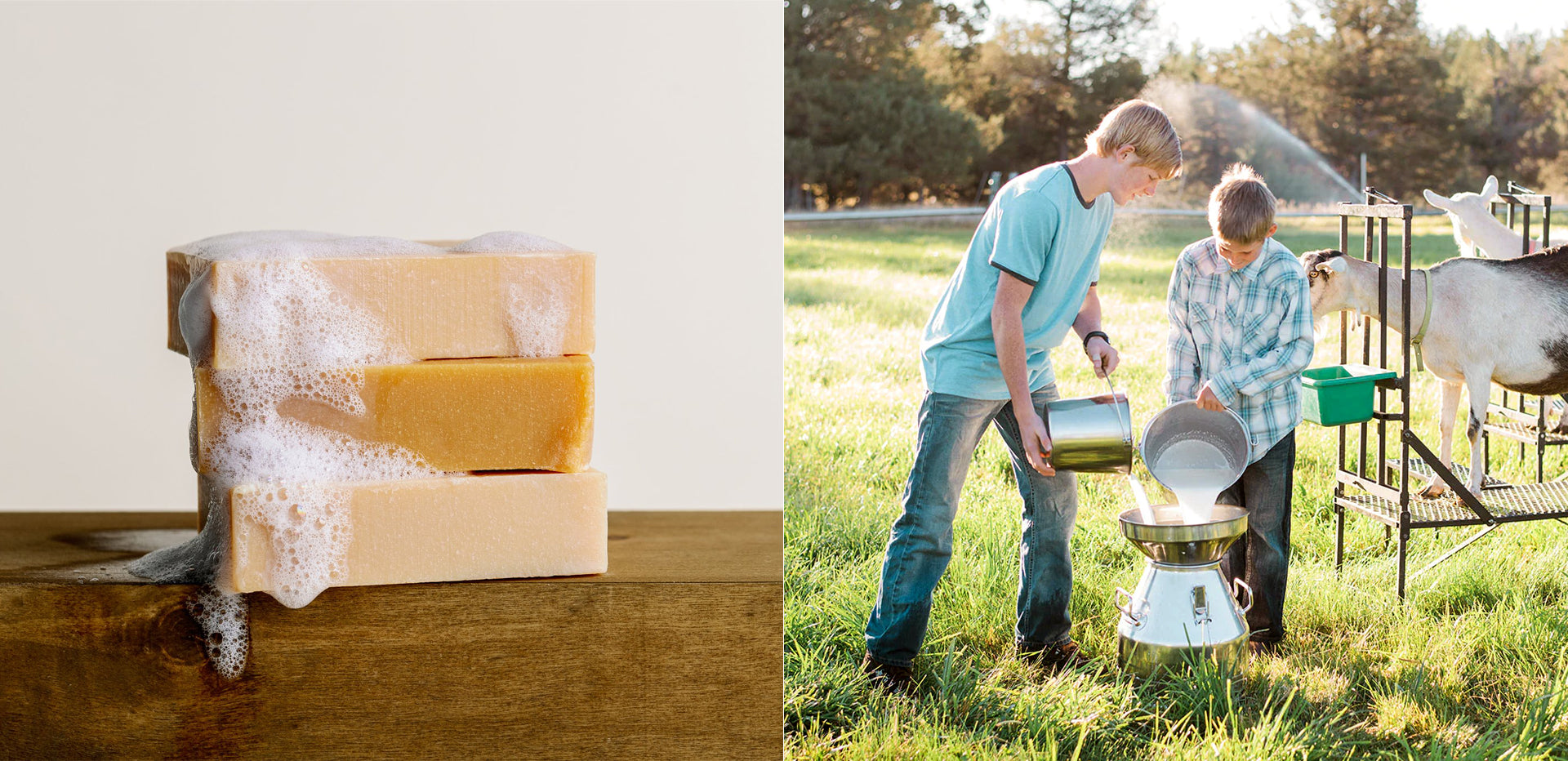 On the left, three bars of foamy soap are stacked on a wooden surface. On the right, two people outdoors pour milk into a container beside a goat, with green grass and trees in the background.