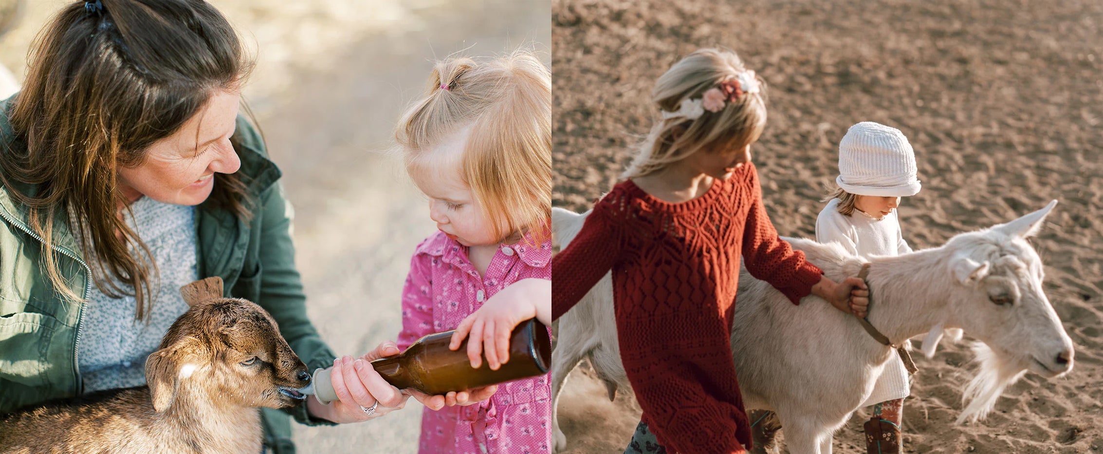 Two images: On the left, an adult and a child bottle-feed a baby goat. On the right, two children, one in a red sweater and another in a white hat, walk beside and pet a white goat in a sandy outdoor setting.