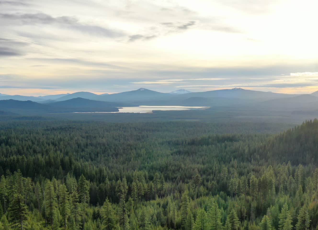 A vast forest of evergreen trees stretches toward a distant lake, with rolling mountains and a cloudy sky in the background, softly lit by the setting or rising sun.