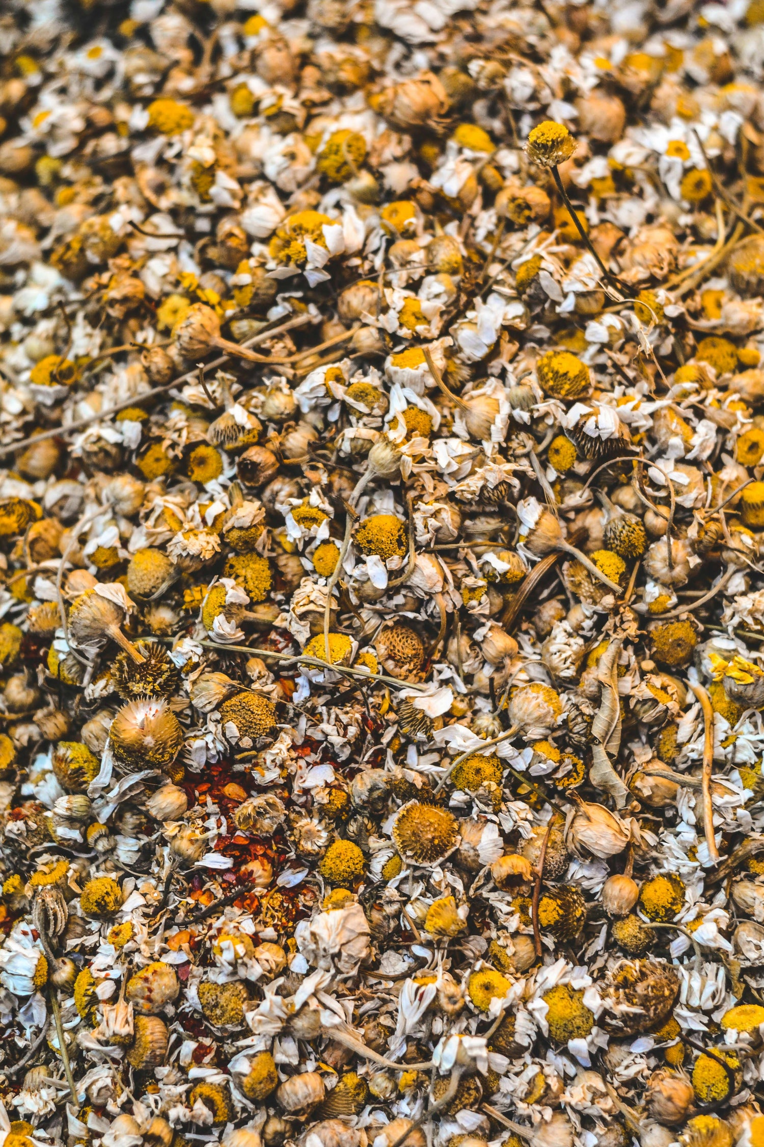 A close-up view of a pile of dried chamomile flowers, displaying yellow centers and white petals mixed with stems and small pieces of plant material.
