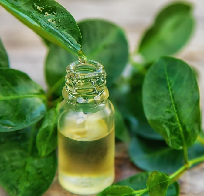 A drop of oil falls from a green leaf into a small glass bottle filled with yellowish liquid, surrounded by fresh green leaves.