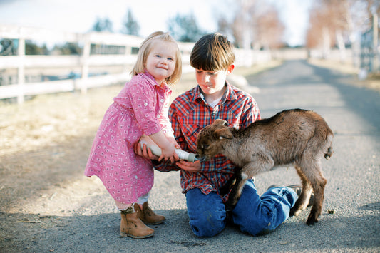 kids feeding a baby goat