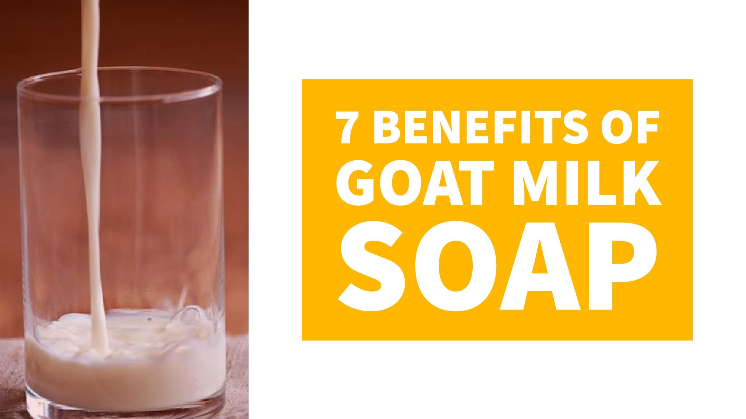 7 Benefits of Goat Milk Bend Soap Company