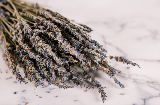 lavender bundle, lavender essential oil