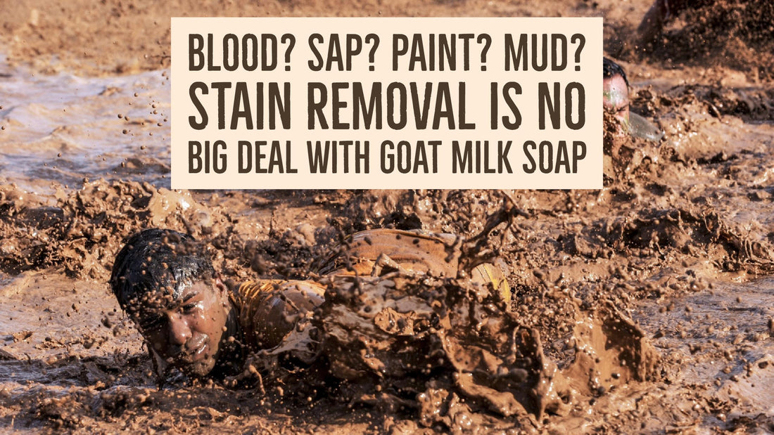 Blood? Sap? Paint? Mud? Stain Removal is No Big Deal with Goat Milk Soap