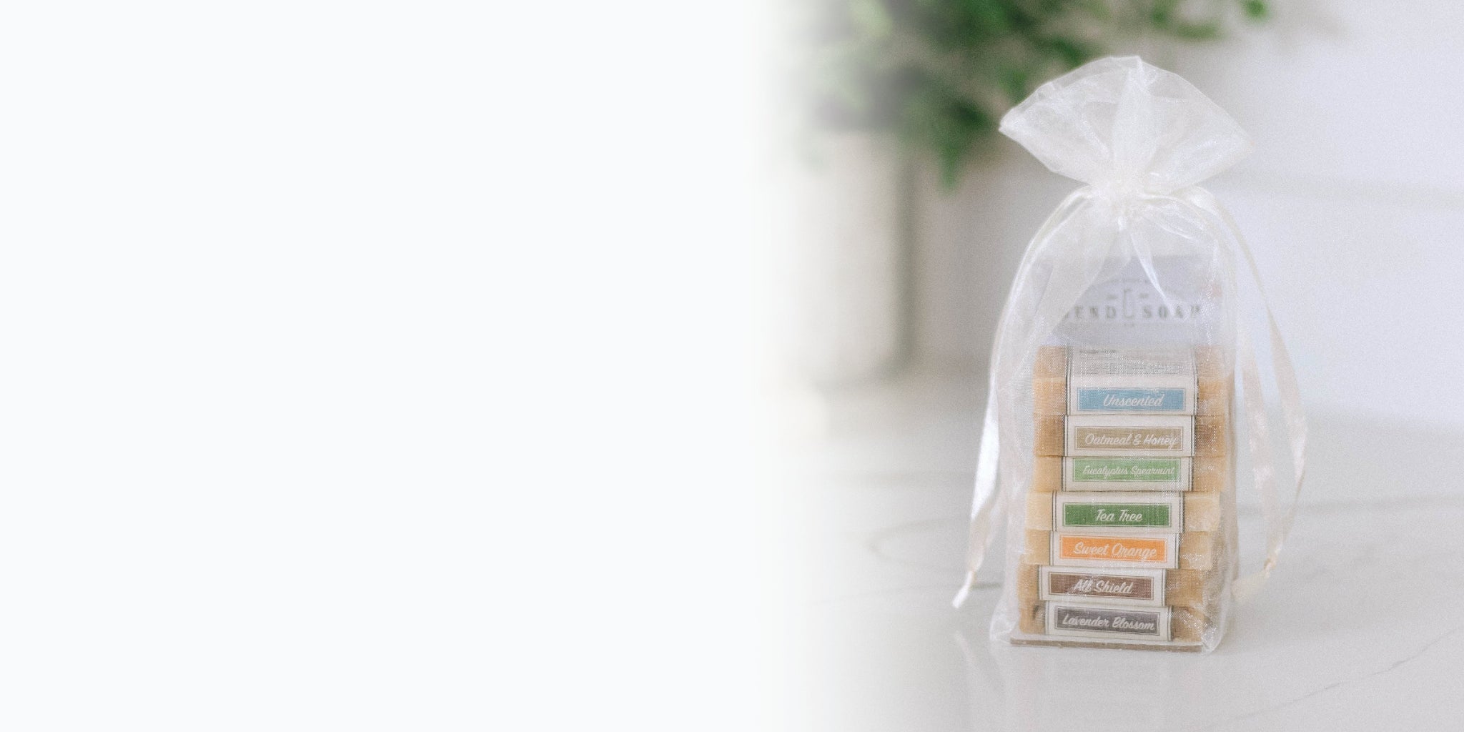 Best of Bundles