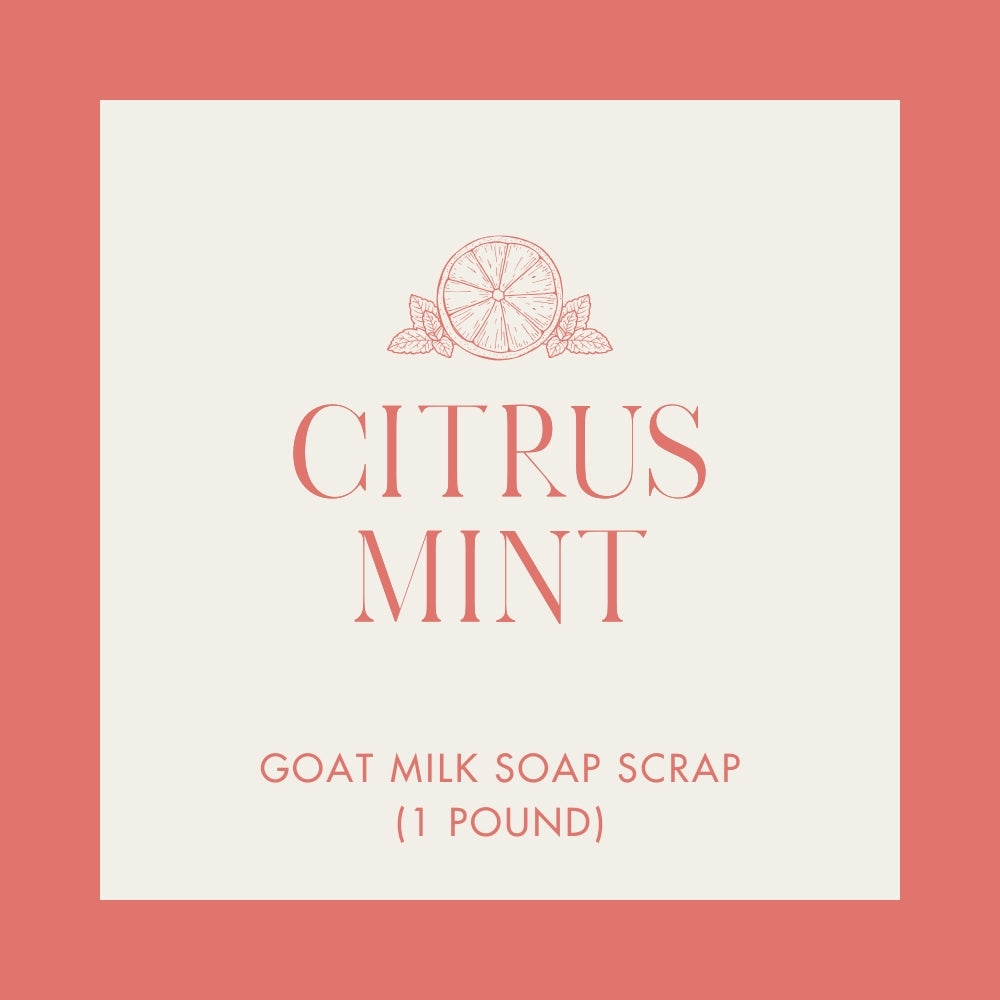 Citrus Mint Goat Milk Soap Scrap (1 lb.)