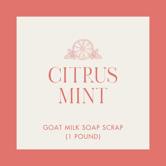Citrus Mint Goat Milk Soap Scrap (1 lb.)