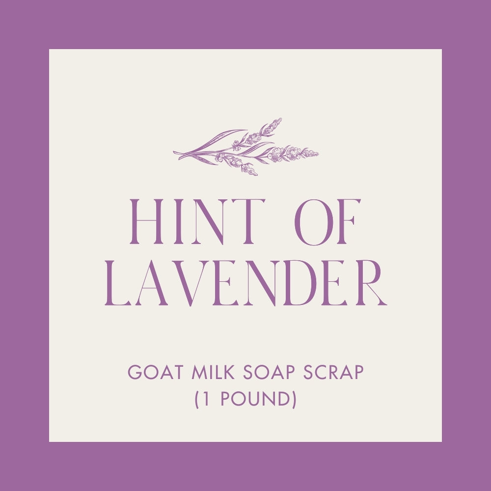 Hint of Lavender Goat Milk Soap Scrap (1 lb.)