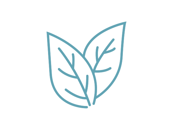A simple, blue line drawing of two overlapping leaves with visible veins, set against a white background.
