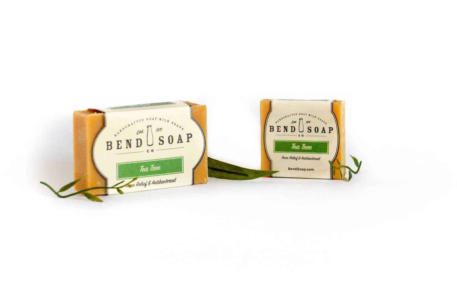 https://www.bendsoap.com/cdn/shop/products/TeaTree2_754x474_crop_center@2x.jpg?v=1642804803